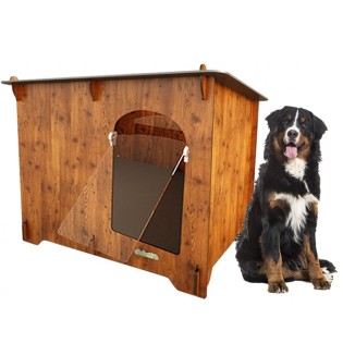 Hodowla dla berneńskiego psa pasterskiego