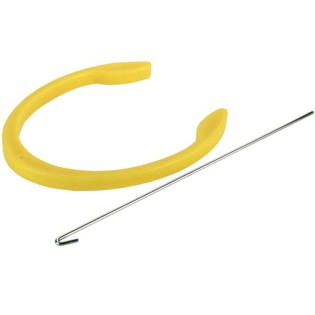 Inseminacja świń