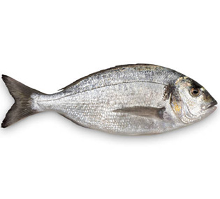 Rybacki